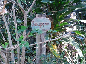 sop2(2)